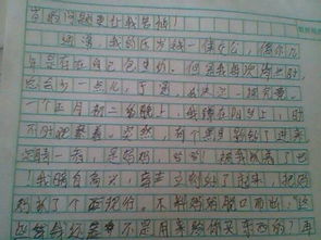 作文,雨季,校園