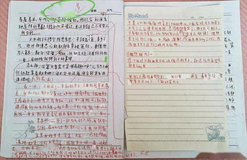 校園流行風(fēng)之開(kāi)膠繩的作文