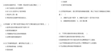 校園網(wǎng)絡(luò )安全從我做起作文800字