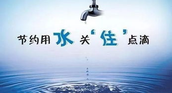 節約用水創(chuàng  )建節水校園(作文)