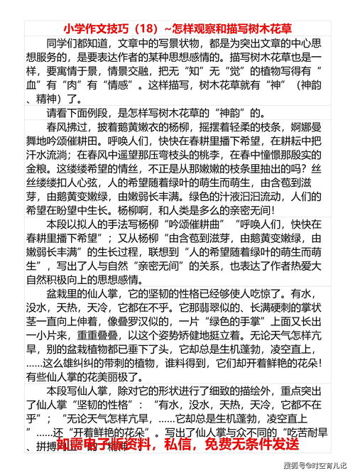 描寫秋天校園的花草樹(shù)木作文,描寫花草樹(shù)木的作文600字,描寫花草樹(shù)木的作文200字