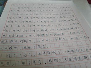 作文,題目,校園