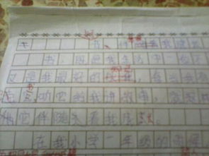 寫(xiě)校園里的書(shū)450字作文