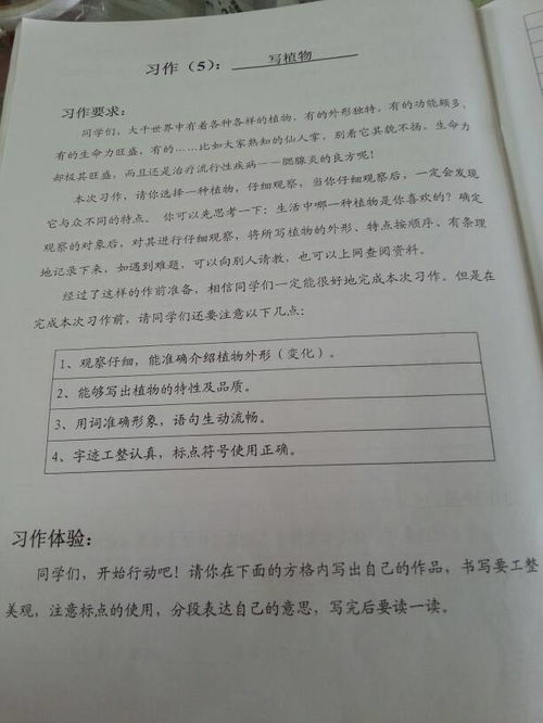游校園作文四百字怎么寫(xiě)