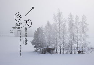 作文校園的冬景800字