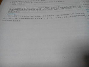 我們校園的一角作文450字