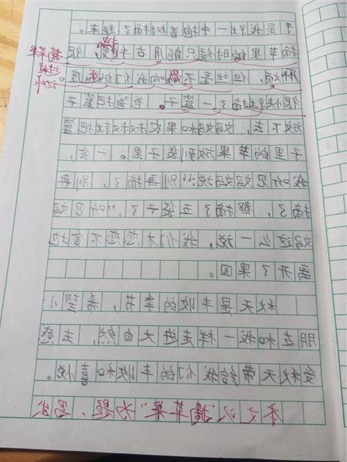 我們的校園優(yōu)秀作文三級