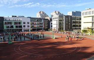 實(shí)驗(yàn)小學(xué)校園一角作文怎么寫,濱海縣實(shí)驗(yàn)小學(xué)作文校園一角,實(shí)驗(yàn)小學(xué)作文校園一角500字