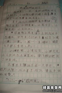 作文,四級(jí),運(yùn)動(dòng)會(huì),校園