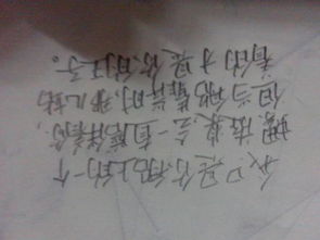 校園小說(shuō)作文200
