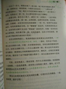 校園游記作文初二