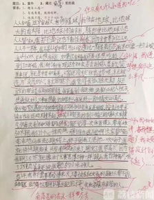 校園的角落的花的作文