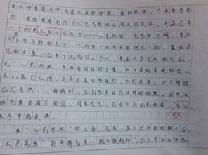 自編校園小說作文500字六年級,自編校園小說作文800字,自編校園小說作文400字