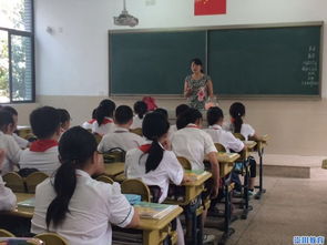 新校園新環(huán)境初中作文,新校園新環(huán)境初中作文600字,新校園,新環(huán)境作文600字初中作文