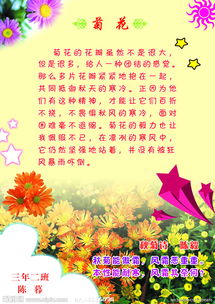 關(guān)于校園里的菊花的作文400字作文
