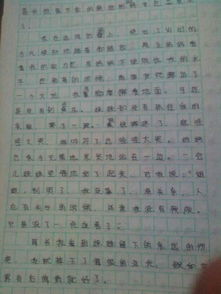 作文,不文明,現(xiàn)象,校園