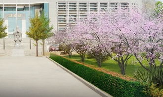 作文寫校園的景物200