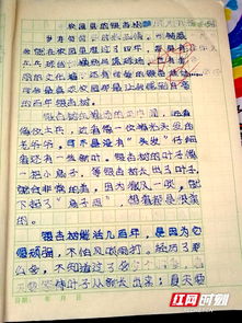 四級關(guān)于校園的作文400字作文大全