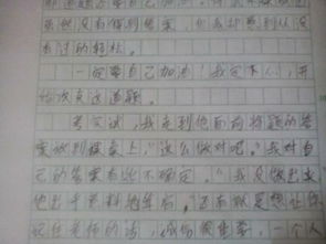 誠信金融伴我行作文600字,平安校園伴我行作文600字,誠信進校園作文600字