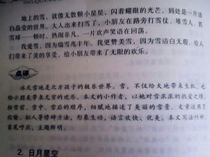 冬天的校園(作文400字)