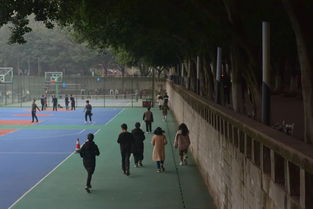 作文,結尾,運動(dòng),校園