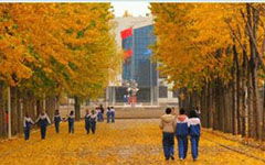 秋天的柳樹(shù)作文三年級(jí),描寫(xiě)秋天的柳樹(shù)的作文,秋天的柳樹(shù)作文300字左右