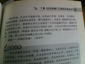 以校園的一角為主題的作文50