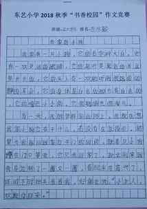 書(shū)鄉校園的作文