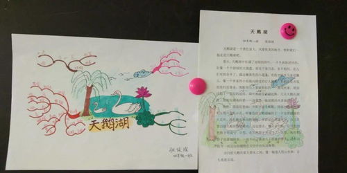 作文,書(shū)寫(xiě),比賽,校園