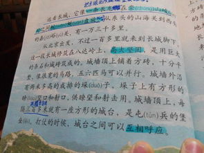 小學(xué)生作文我的校園400字,小學(xué)生作文什么真好400字,小學(xué)生作文校園運動(dòng)會(huì )400字