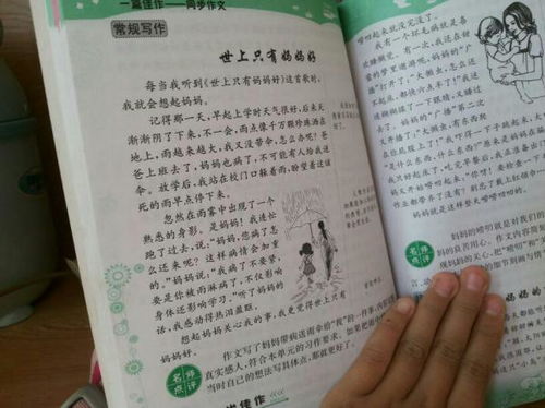校園里的美麗花園作文怎么寫(xiě)