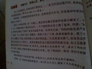 這兒真美的作文寫校園