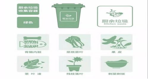文明校園垃圾分類作文