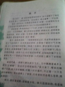 描寫(xiě)秋天作文600字校園