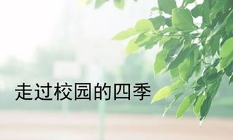 四季校園的作文怎么寫(xiě)