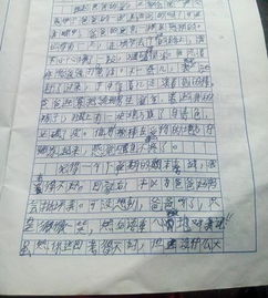 新校園的感受作文隨筆350字