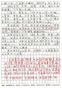 心靈被什么觸動(dòng)的作文校園