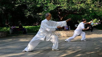 太極拳,注意事項