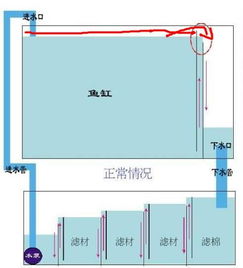 底濾魚缸開缸注意事項(xiàng)
