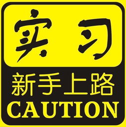 新手上路注意事項及駕車(chē)技巧,新手上路的注意事項,機動(dòng)車(chē)新手上路注意事項
