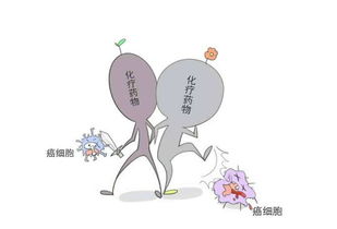 第二次化療后注意事項