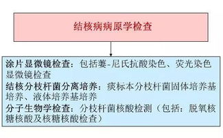 小孩結核菌素試驗注意事項