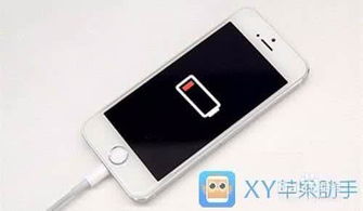注意事項(xiàng),充電,蘋(píng)果
