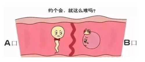 注意事項