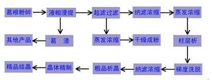 發(fā)明葛根素分離提取技術(shù)的科學(xué)家,葛根素的分離提取用到了那些技術(shù)?,葉綠素的提取和分離實(shí)驗注意事項