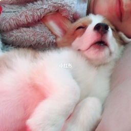 注意事項