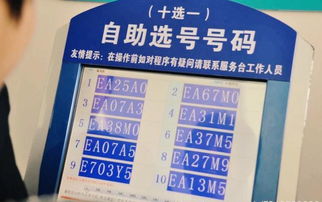 車(chē)牌照選號注意事項