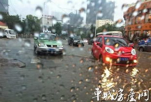 防洪,暴雨,注意事項