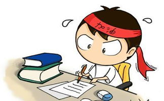 體育考試注意事項,數學(xué)考試注意事項,語(yǔ)文考試注意事項
