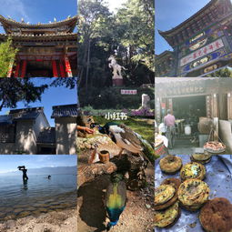 大理旅游防騙注意事項(xiàng)